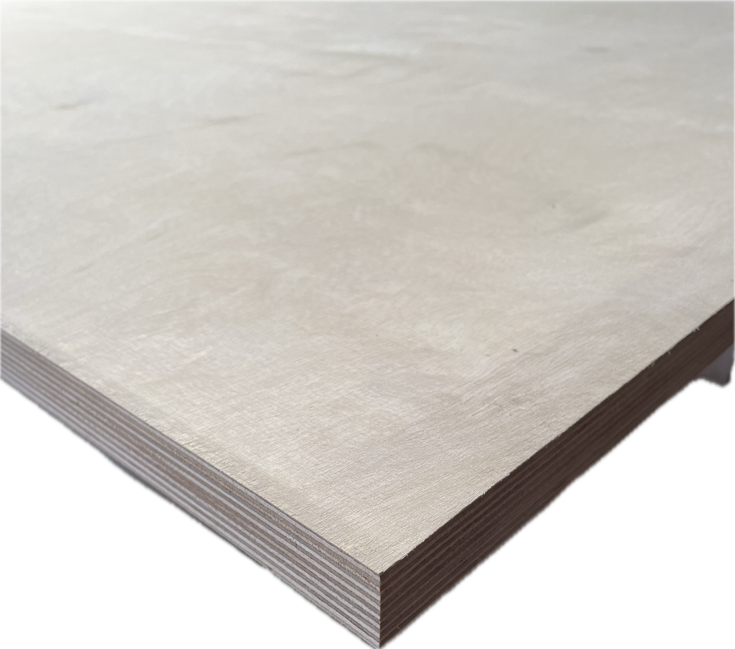 Birke Multiplex BB/CP d.u.d. 1,50 x 3,00 m