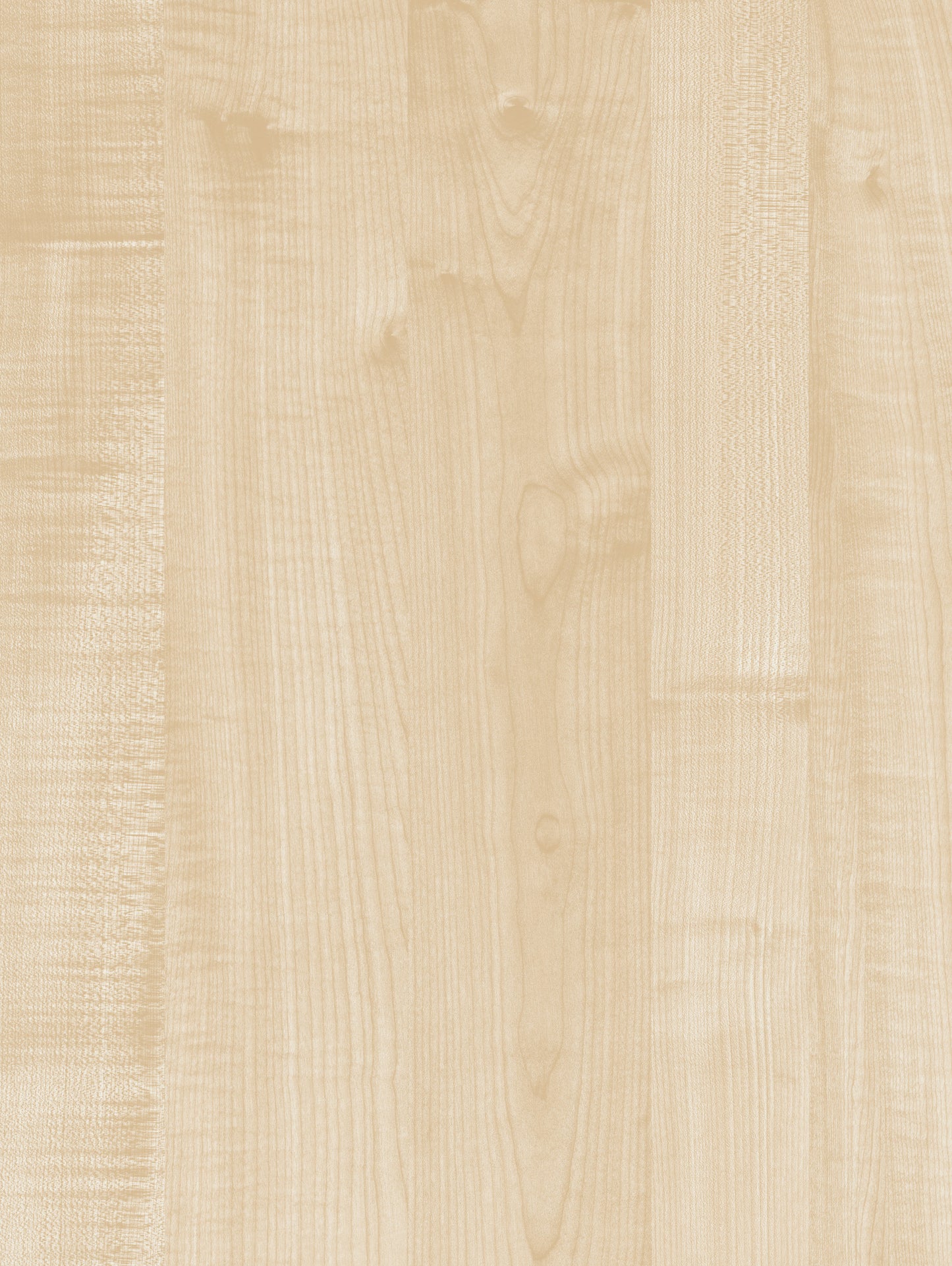 19 mm Innovus Spanplatte Dekor: M12084 Classic Maple SMA