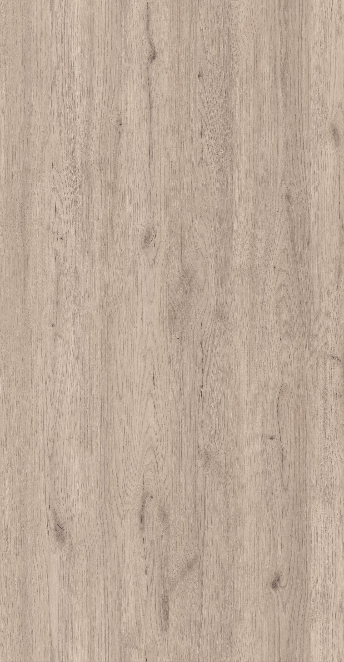 19 mm Innovus Spanplatte Dekor: M6264 Salerno Oak Pale FUN