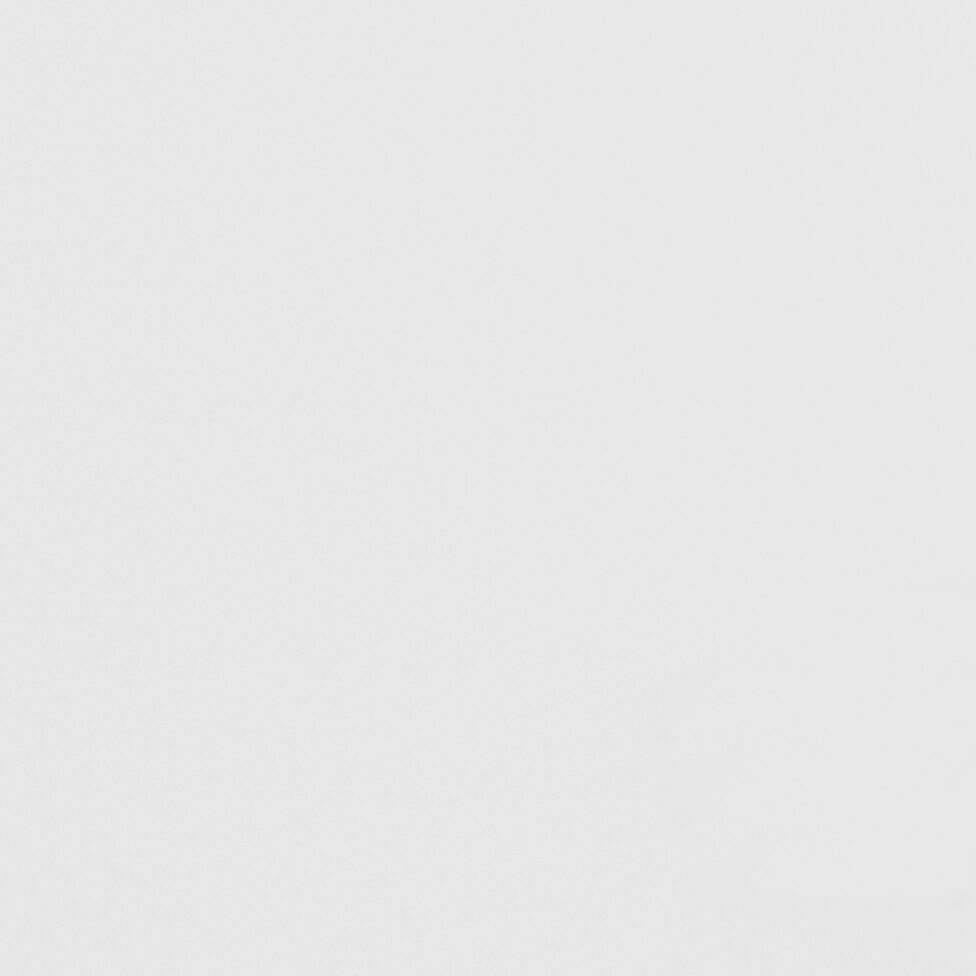 Wohnungseingangstürblatt Cpl Weisslack 9016 Schallschutzklasse 1