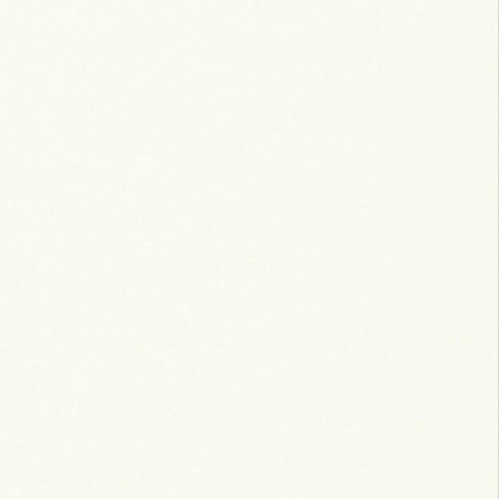 Zimmertürblatt mit Lichtausschnitt Cpl Weisslack 9010